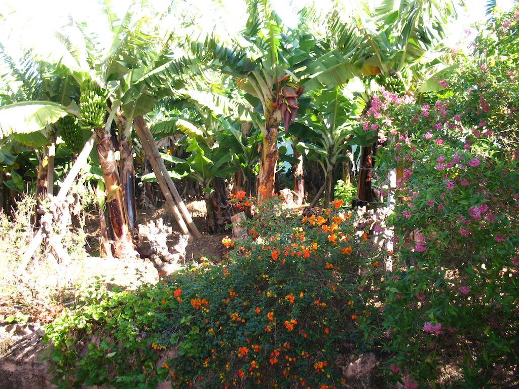 Quinta Sao Goncalo Villa Funchal  Exterior foto